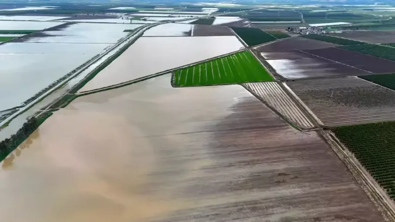 Mısır ve karpuz tarlaları göle döndü: Adana’da çiftçiler için “yeniden ekim” mesaisi başlıyor.