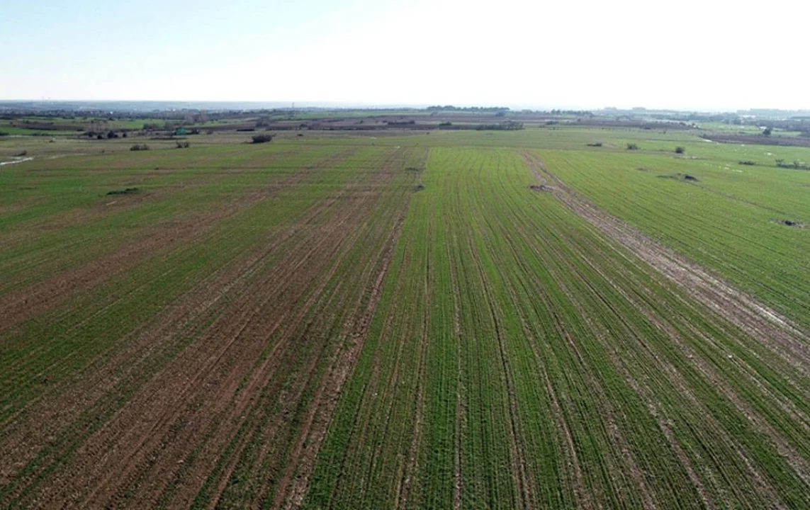 Tarlada Dağınıklık Sona Eriyor: Ceyhan’da 3 Mahallede Mülkiyet Yapısı Değişti